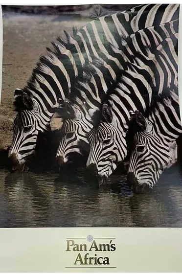 Africa Poster with Zebras
